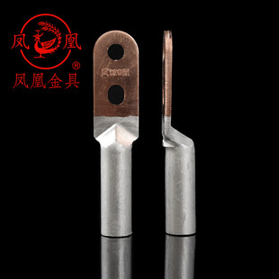凤凰国标A级双孔铜铝接头DTL-120 铜鼻子 双眼接线端子 一只