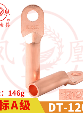凤凰A标 铜接头DT-120MM2 铜鼻子 铜接线端子 铜线耳DT120 一只价