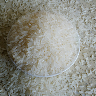 2025年农家自产自销五常大米 志广乡产地直发新鲜稻花香2号10斤装