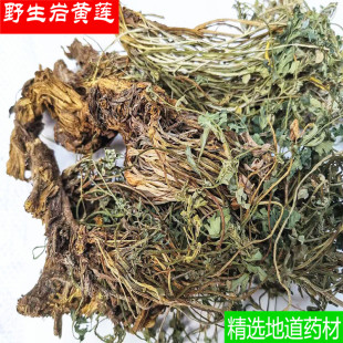 野生岩黄莲中药材岩黄连岩胡岩连菊花黄连正宗野生假一赔十100克