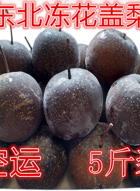东北冻花盖梨冻苹果梨顺秋梨大黑梨水果无渣多汁冻梨特产年货丰甜