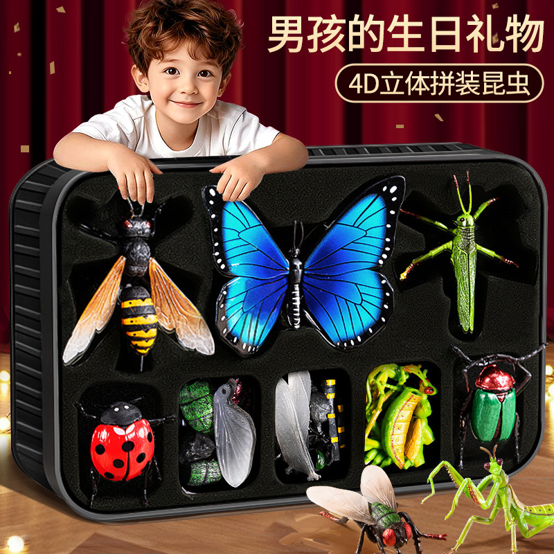 拼装昆虫模型&仿真实心早教认知