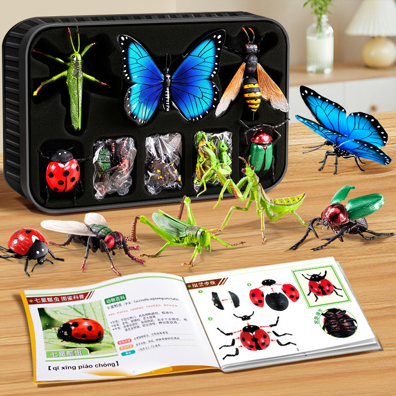 仿真4D拼装昆虫模型&早教认知