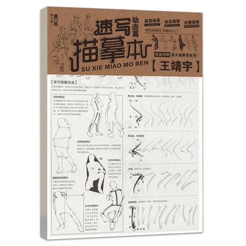 王靖宇速写描摹本临摹本