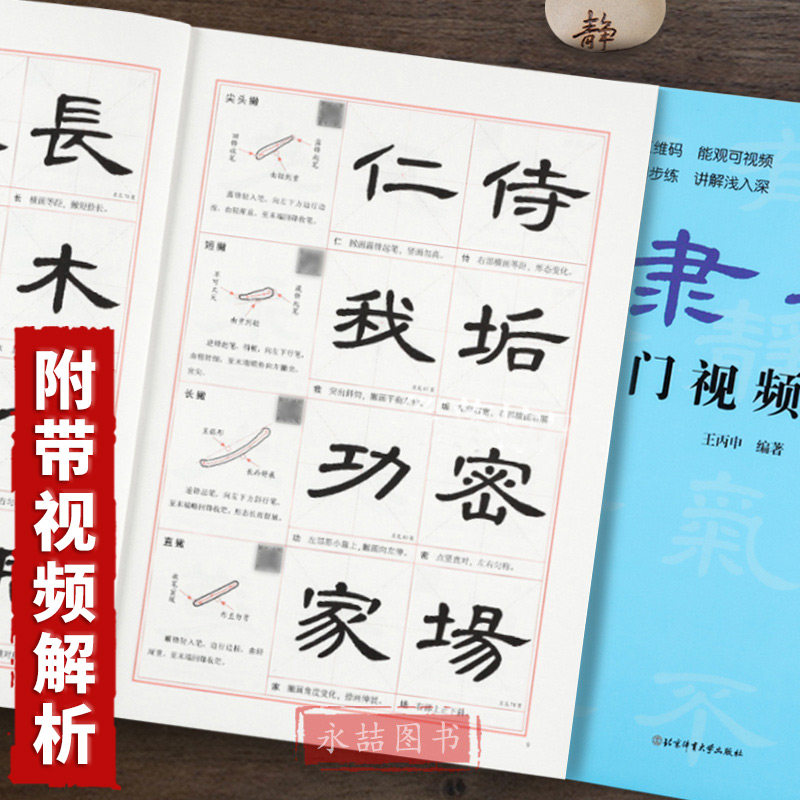 【13年老店】隶书入门视频教程 王丙申 视频讲解隶书基础书法教材教程