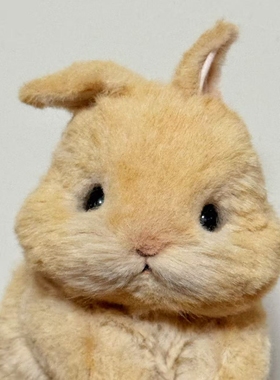 熊蜜柑小兔子黄色侏儒兔毛绒玩具公仔布娃娃玩偶手工五关节材料包