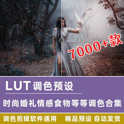 调色预设 7000多个梦幻童话时尚婚礼情感食物森林爱情等LUT预设包