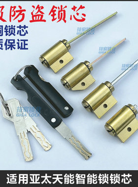 适用亚太天能锁芯指纹锁智能锁底装应急锁头带尾巴电子门锁锁芯