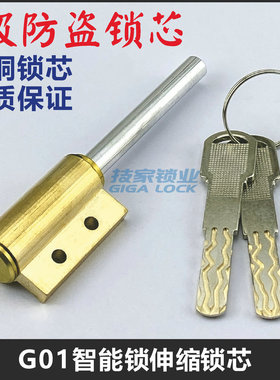 G01公租房智能锁锁芯伸缩型指纹锁电子门锁锁头圆棍双孔应急锁芯