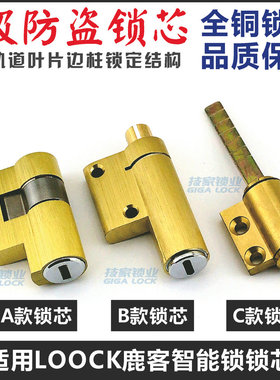 适用LOOCK鹿客锁芯智能锁指纹锁电子门锁应急锁头带尾巴异形锁芯