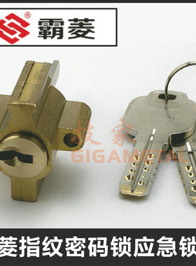 霸菱指纹密码锁应急锁芯 BALING指纹密码锁头 霸菱异形双孔锁芯