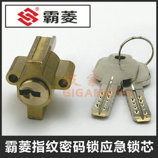 锁头 BALING指纹密码 霸菱异形双孔锁芯 锁应急锁芯 霸菱指纹密码