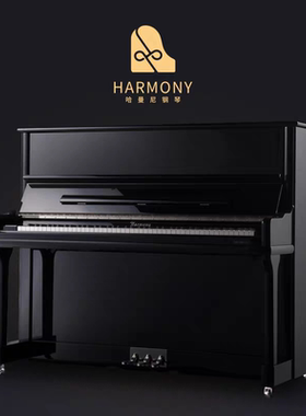 HARMONY/哈曼尼钢琴 HG-123T-G 家用立式练习十级专业考级钢琴
