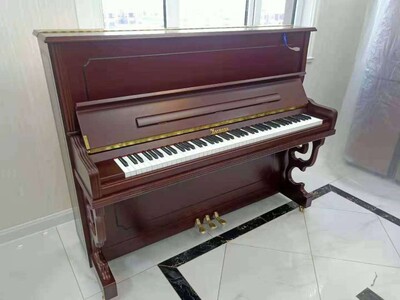 HARMONY/哈曼尼123TM6立式儿童练习初学家用专业十级考级钢琴送货