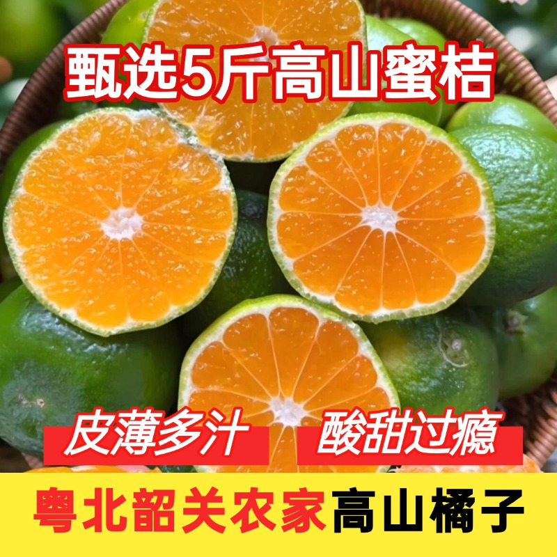 韶关蜜桔新鲜桔子早熟蜜橘酸甜青皮无籽孕妇当季水果粤北5斤整箱