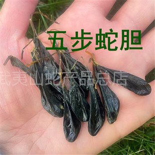 10粒正装五步蛇胆武夷山眼镜蛇胆 蛇胆 五步蛇胆