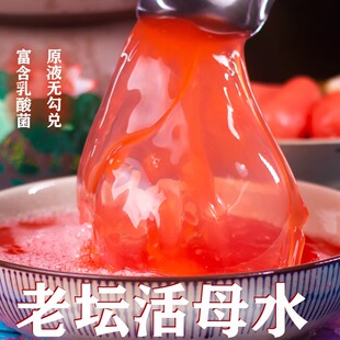 黄掌柜传承无勾兑四川老坛泡菜水泡菜老酸水乳酸菌发酵母水3斤5斤