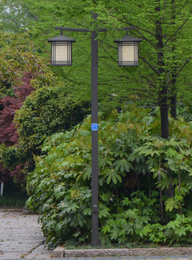 仿古中式庭院灯3米3.5米户外灯公园别墅灯景观灯道路灯双头灯笼灯