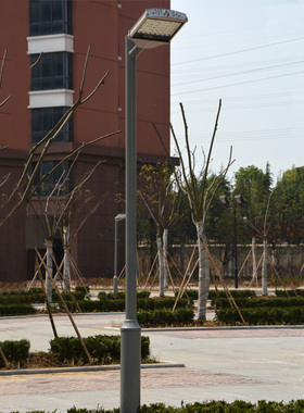 庭院灯双头景观灯户外灯防水小区LED路灯公园别墅草坪灯高杆灯3米