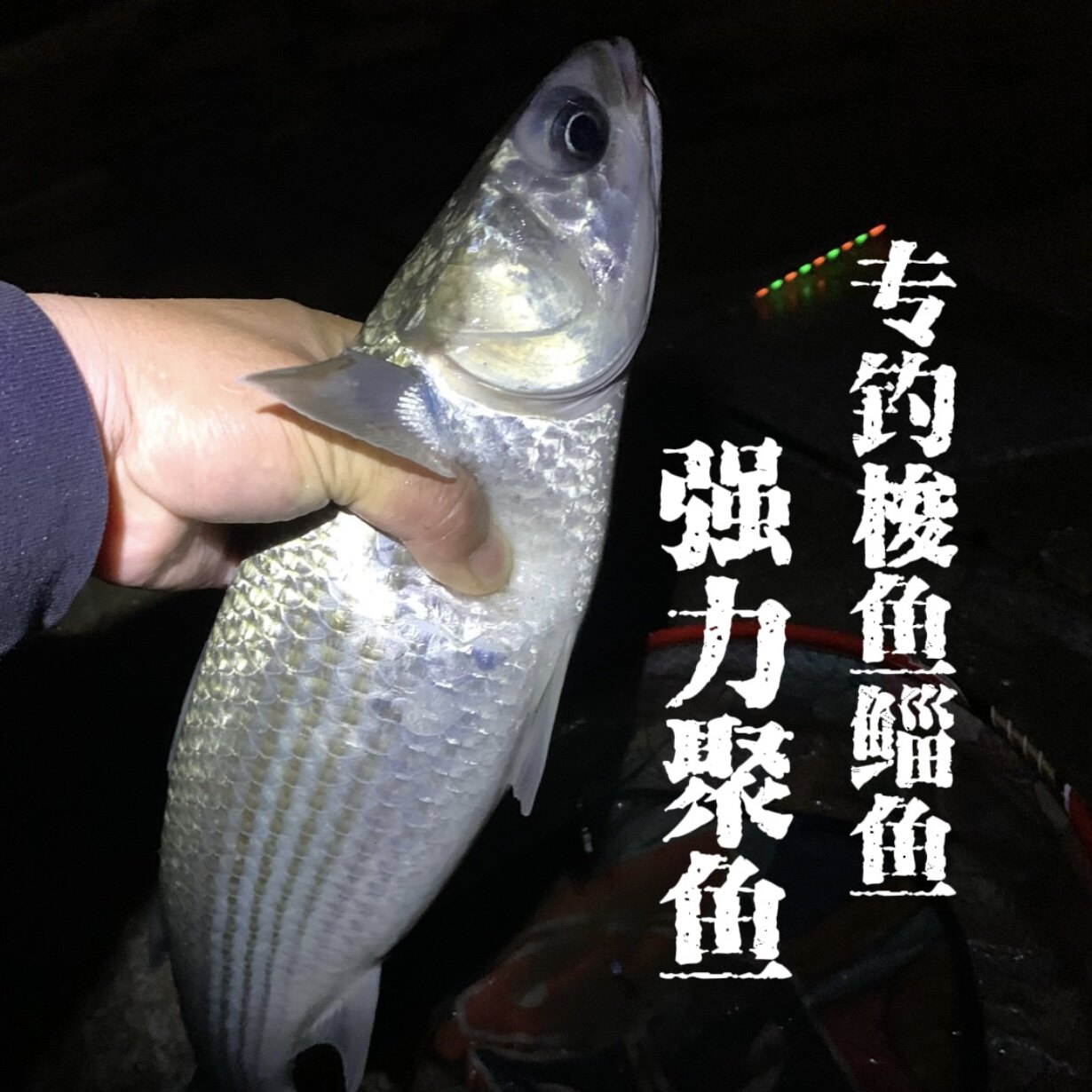 天霸钓鱼梭鱼小药鲻鱼乌头鱼春冬钓鲫鱼海钓浓腥小药添加剂诱食剂