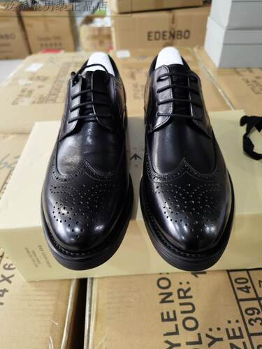 S241001163爱登堡专柜正品2024年新款春款休闲鞋商务皮鞋户外