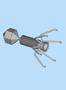噬菌体3D图纸（SLDPRT和STL格式）