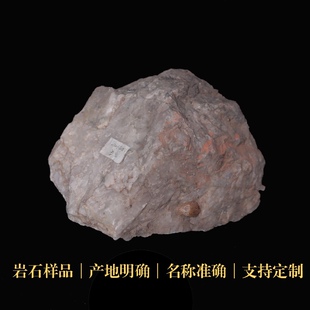 石英岩变质岩石三大岩样品标本矿物科研地质中小学博物馆科普教具