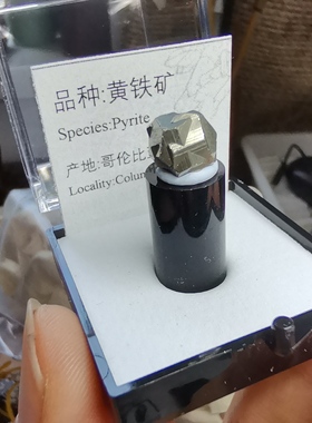 黄铁矿哥伦比亚摆件矿物晶体教学标本愚人金原石猫矿地质科普
