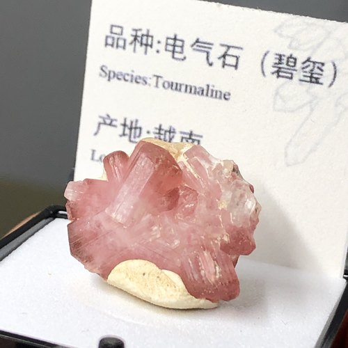 电气石粉碧玺天然矿物晶体标本盒猫矿石能量石晶科普教学毕业礼品