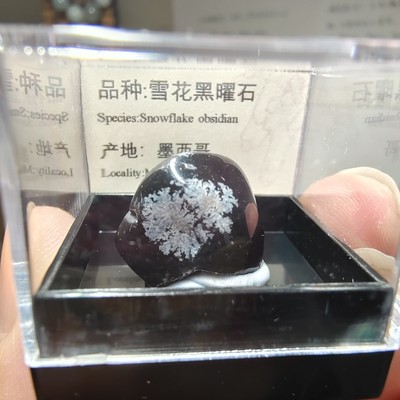 雪花黑耀石天然矿物晶体标本猫矿水晶能量科普教学毕业礼品