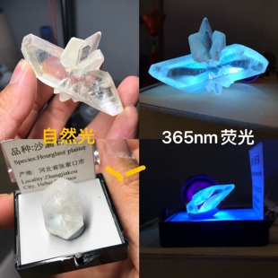 沙漏石膏天然荧光矿物晶体标本盒猫矿石能量石晶毕业礼品科普教学