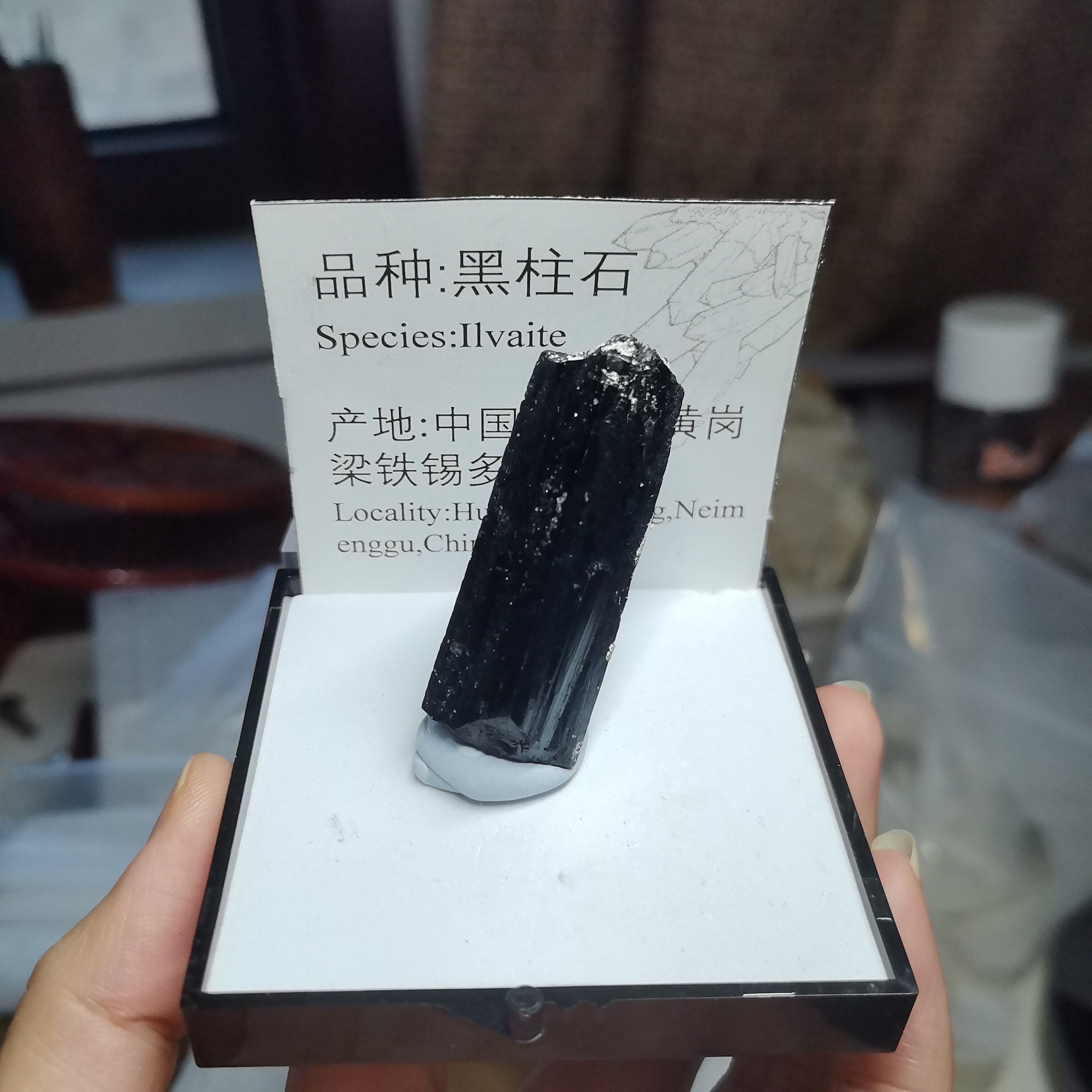 黑柱石矿物晶体原石天然地质标本盒子猫矿石能量晶宝石科普教学