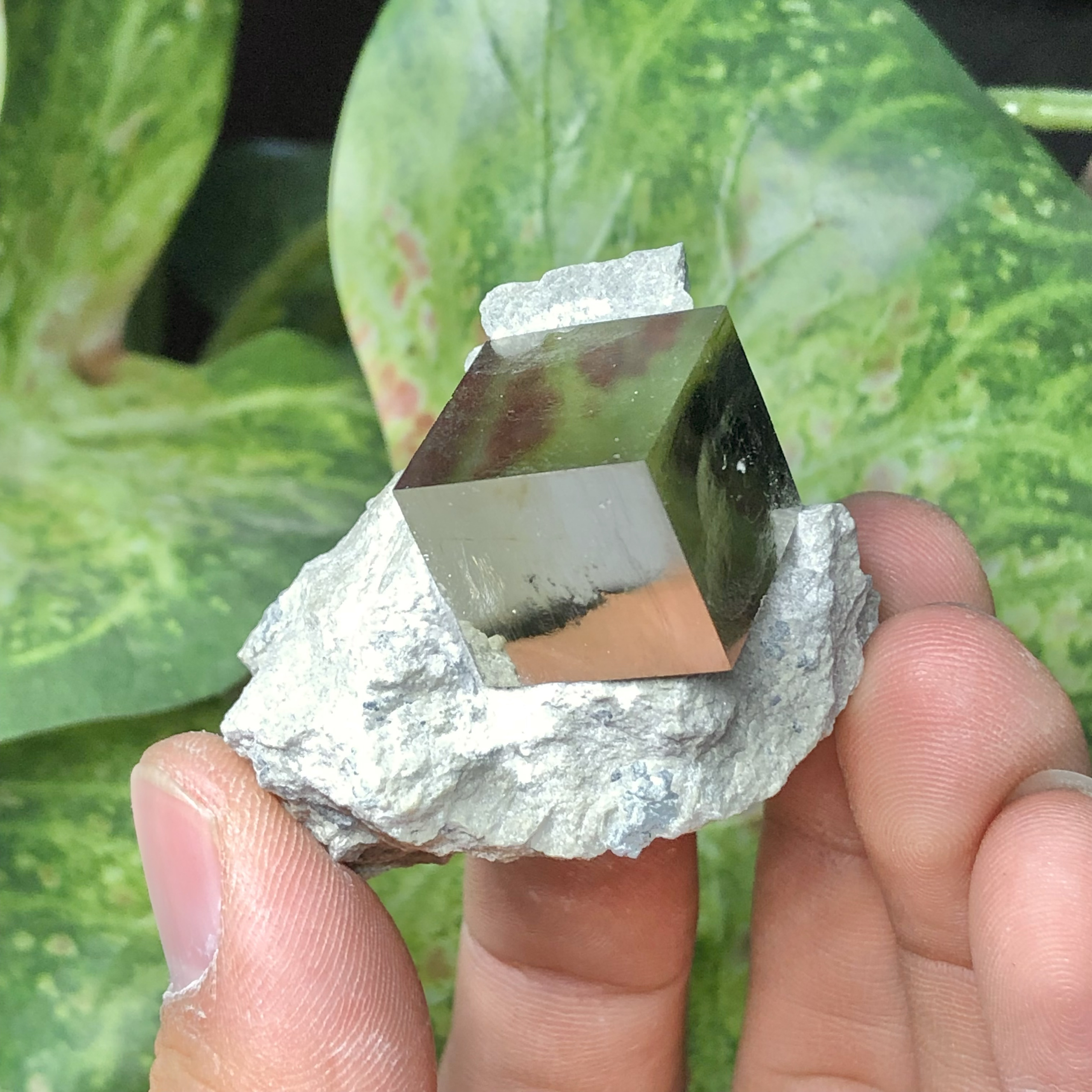 立方体黄铁矿西班牙摆件矿物晶体教学标本愚人金原石猫矿地质科普