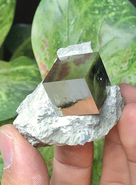 立方体黄铁矿西班牙摆件矿物晶体教学标本愚人金原石猫矿地质科普