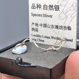 自然银原石天然矿物晶体标本盒子猫矿石能量石晶宝石地质科普教学