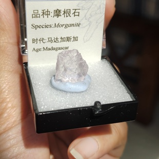 粉色蓝色摩根石原石天然矿物晶体标本猫矿能量石教学毕业礼品