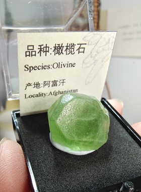 天然橄榄石巴基斯坦矿物晶体矿标本水晶宝石裸石教学实验原石矿晶