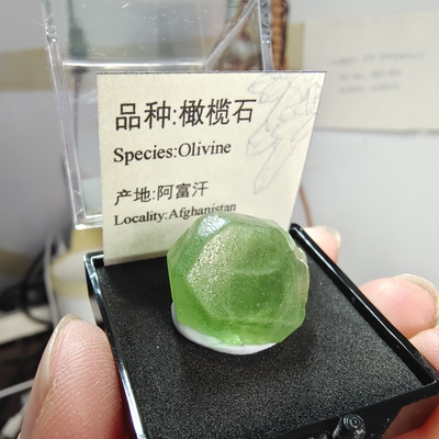 天然阿富汗橄榄石矿物晶体矿标本水晶宝石裸石教学实验原石矿晶