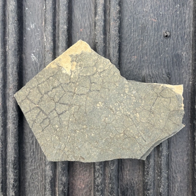 泥裂沉积构造次生三大岩类样品标本矿物科研地质中小学博物馆科普