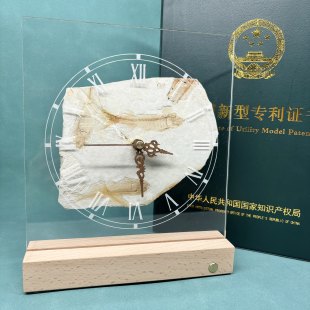 狼鳍鱼化石钟表带灯创意礼品文创静音天然古生物地质标本随机发货