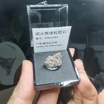 顽火辉石球粒陨石石天然矿物标本盒子猫矿石能量石晶宝石地质科普