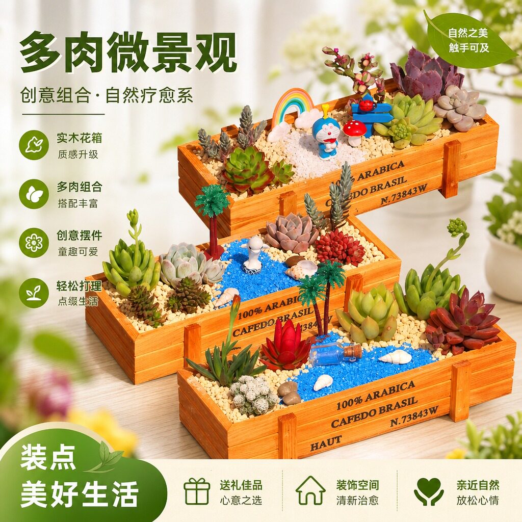 多肉植物组合盆栽套餐多肉DIY微景观材料包含盆含土室内绿植包邮