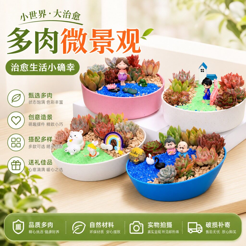 多肉植物新手组合盆栽套餐DIY创意摆件微景观材料包邮幼儿园礼物