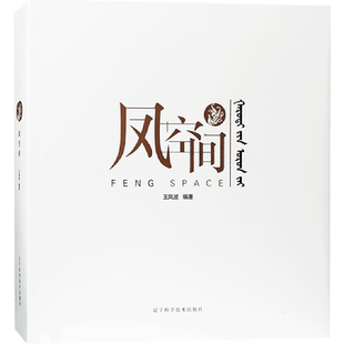 凤空间 王凤波 室内设计作品 住宅别墅酒店办公会所商业空间室内装饰装修设计书籍