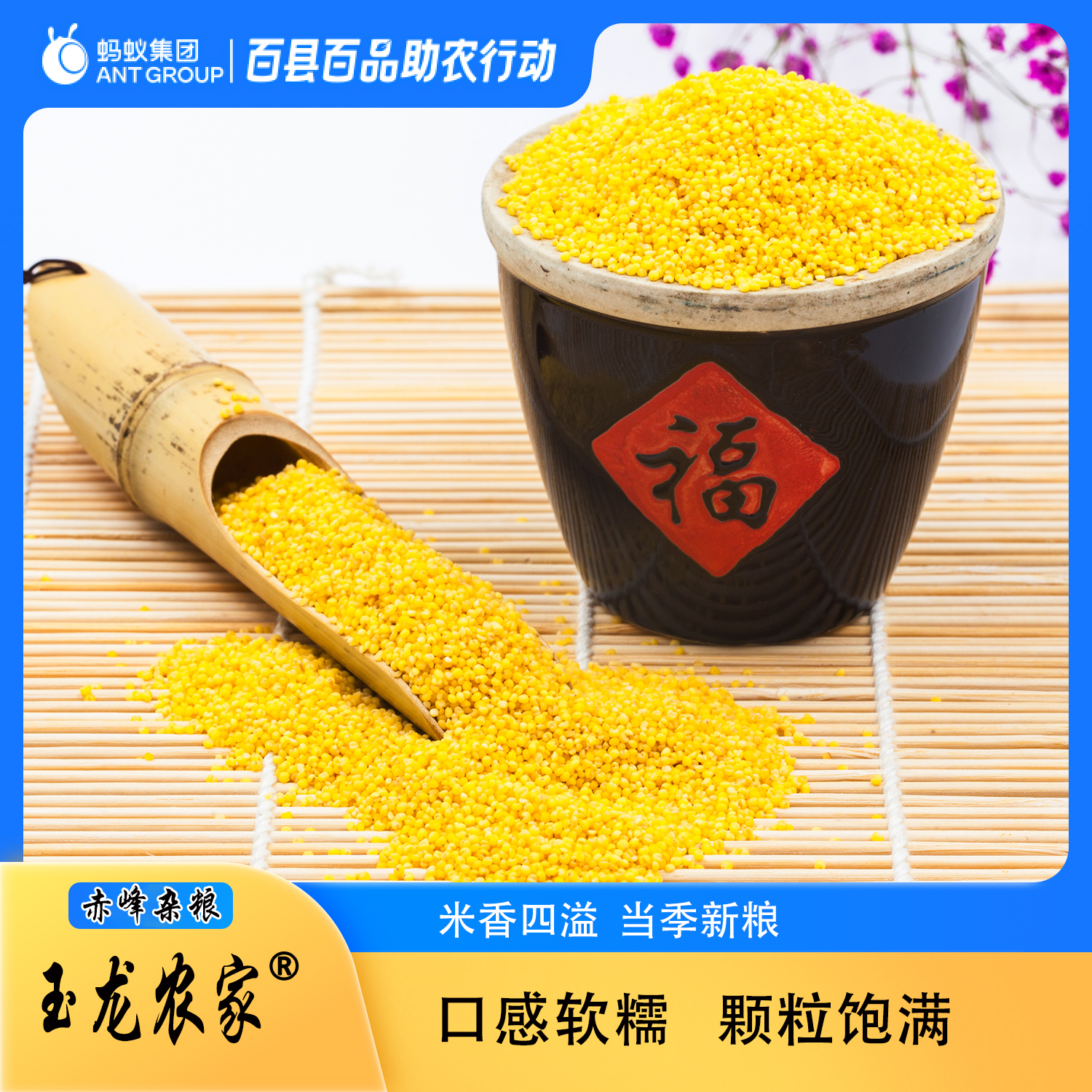 玉龙农家新米正宗赤峰黄小米农家小米五谷杂粮小米粥金苗K1小黄米