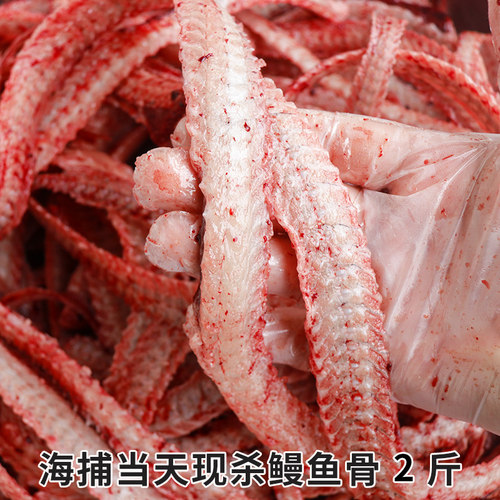 新鲜海鳗鱼骨头整条鱼骨