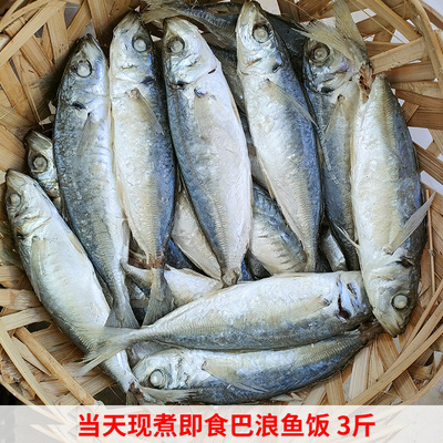 当天海捕现做潮汕打冷巴浪鱼饭福建闽南即食海鲜水产现煮熟鱼海鱼