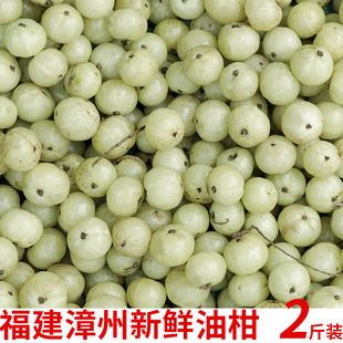 当季油柑新鲜福建漳州闽南现摘新鲜青余甘子山油甘果滇橄榄酸水果