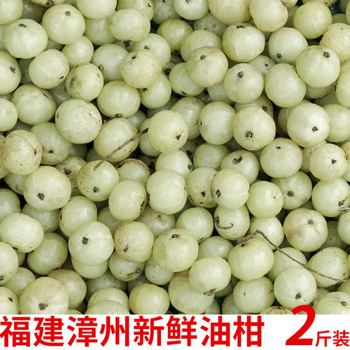 油柑福建漳州闽南现摘青余甘子