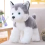 Honeyway Hailiwei mô phỏng Husky búp bê sang trọng đồ chơi chó con chó hai ha búp bê búp bê nhỏ - Đồ chơi mềm gấu bông totoro